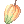 Cacao