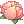 Charming_Lotus