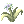 Vital_Flower_